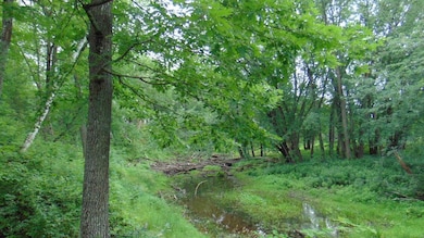 Lot 11 Easy St, Lincoln, ME 04457 - photo 6