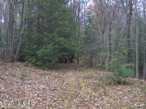 cleared area near home
