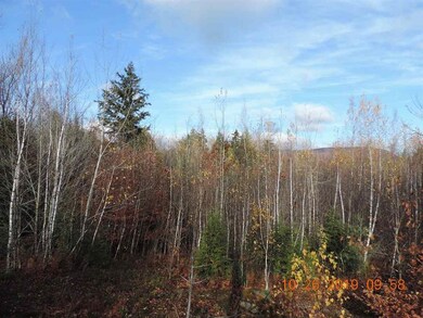 0 S Ridge Rd unit lot 7-20 4783149, Bradford, NH 03221 - photo 5