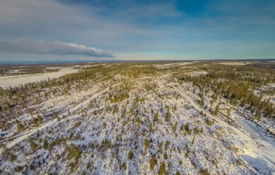 30434 Right Bank, Anchor Point, AK 99556 - photo 2