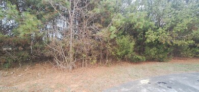 0 Raintree Ln unit 1323950, Kingston, TN 37763 - photo 3