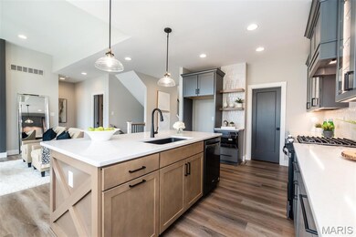 0 Unknown unit MIS25067014, O'Fallon, MO 63385 - photo 7