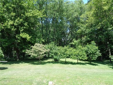 Wooded view from the back yard deck, many fruit tr