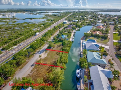 Aerial with Lot Lines