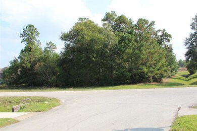 27410 E Benders Landing Blvd, Spring, TX 77386 - photo 2