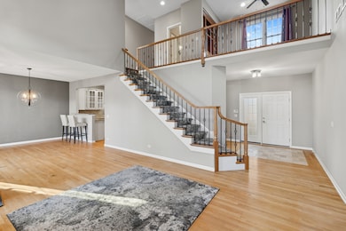 4284 Stableford Ln, Naperville, IL 60564 - photo 3