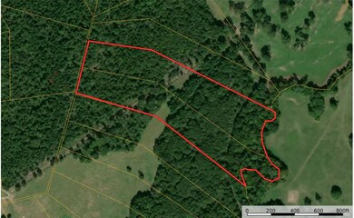 10423 State Highway 21 W, Crockett, TX 75835 - photo 5