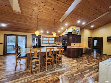 253 Ween Rd, de Soto, IL 62924 - photo 4