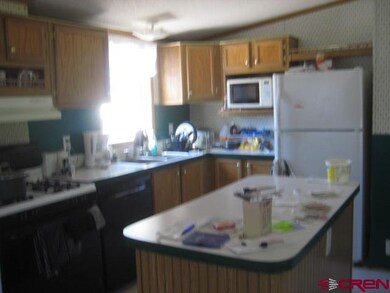 2nd Street, Cedaredge, CO 81413 - photo 4