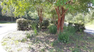 20180806_103150