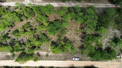 188 Highland Dr, Hawthorne, FL 32640 - photo 2