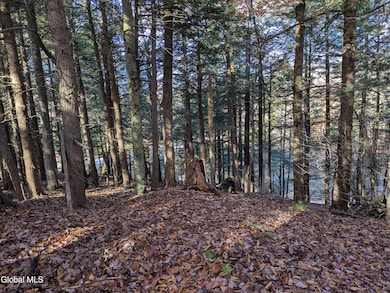 443 Lake Desolation Rd, Middle Grove, NY 12850 - photo 6