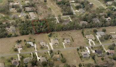 1217 N Annapolis Ave, Hernando, FL 34442 - photo 3