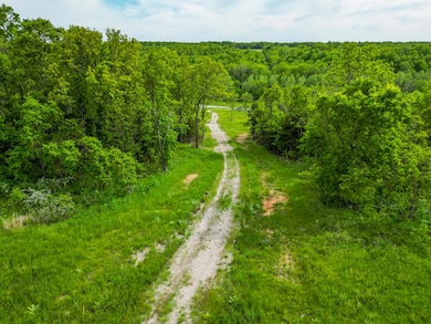 DJI_0205
