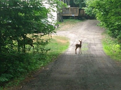 30 Chestnut Common, New Gloucester, ME 04260 - photo 6