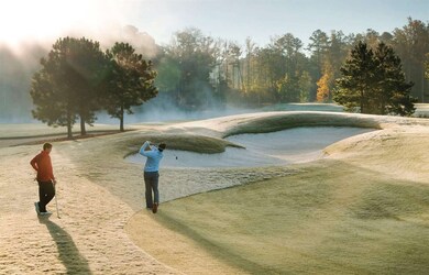 216 Azalea View Way unit Lot 1760, Apex, NC 27539 - photo 3