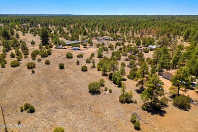 2821KeltonCir-Heber-AZ-2