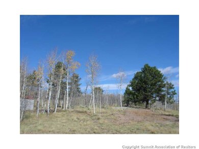 3676 Buffalo Ridge Rd, Como, CO 80432 - photo 6