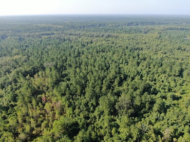 00 Hwy #32 Hwy #99 Tract 1, Brunswick, GA 31523 - photo 6