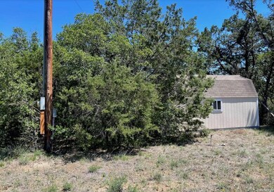 View of yard with a storage unit