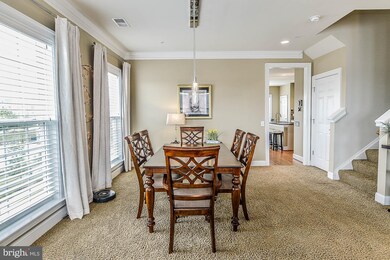 20696 Erskine Terrace, Ashburn, VA 20147 - photo 7