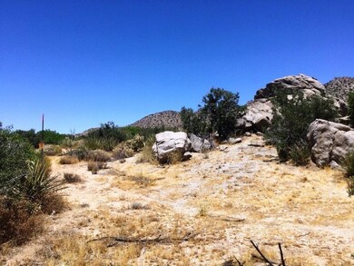 PINYON PINES