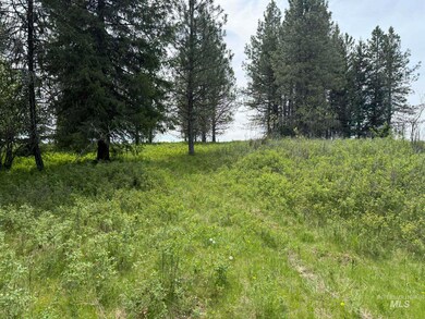 TBD Four Mile Rd, Weippe, ID 83553 - photo 6