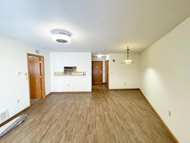 401 S County Road 5 unit 112, Springfield, MN 56087 - photo 6
