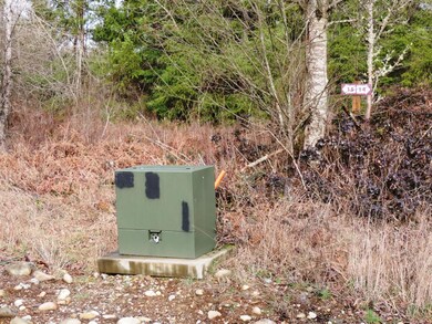 14 Brenda Ln SE, Yelm, WA 98597 - photo 4