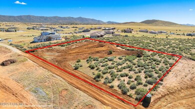 1-002P Aerial 1 Lot Lines