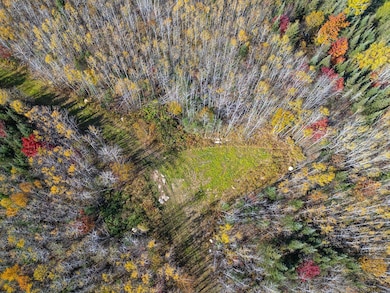 ON Cth G, Nekoosa, WI 54457 - photo 4