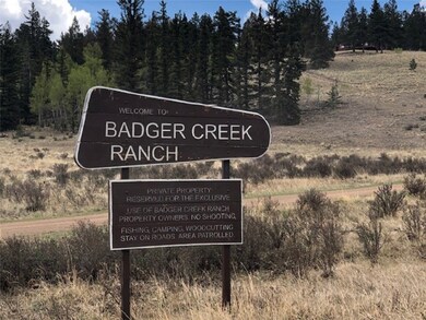 1332 Frees Loop, Hartsel, CO 80449 - photo 2