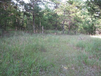 IMG_1355 (Large)