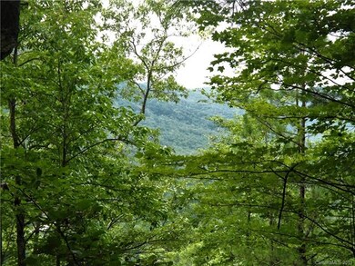 This is a view from the property.