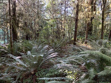 0 Germany Creek Rd unit 20119868, Longview, WA 98632 - photo 7