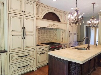 Custom Kitchen with built in refrigerator and dish