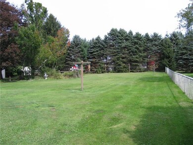 LARGE YARD LINED BY TREES