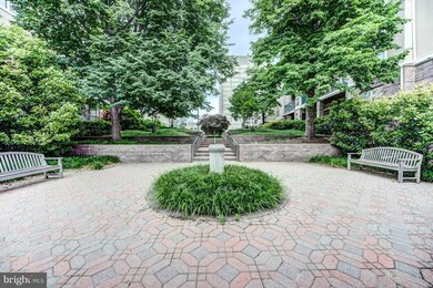 5573 Seminary Rd unit 102, Baileys Crossroads, VA 22041 - photo 4