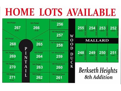 191 Pintail St, Baldwin, WI 54002 - photo 2