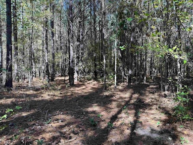 819 Quail Rd, Hemingway, SC 29554 - photo 2