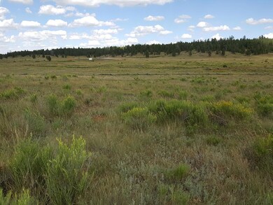 0 E Meadow Ln unit 100432, Duck Creek, UT 84762 - photo 2