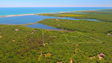 Both available parcels on Swan Neck Road