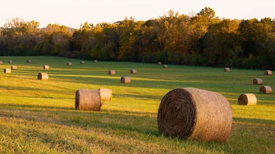 130 Krystal Dr, Chickamauga, GA 30707 - photo 5