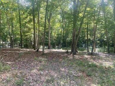 103 Chama Dr, Louisburg, NC 27549 - photo 2