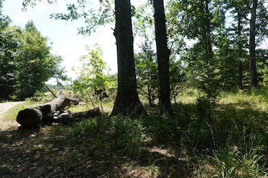 000 Stokes Rd, Bald Knob, AR 72010 - photo 4