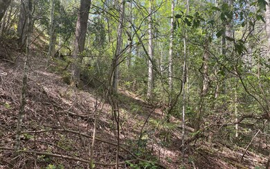 0 Rock Creek Cir unit 320900, Blue Ridge, GA 30513 - photo 4