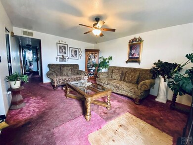 601 3rd St, Fort Garland, CO 81133 - photo 7