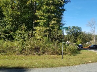 106 Wildeman Trail, Statesville, NC 28625 - photo 4