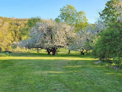 1076 Nh Route 123a, South Acworth, NH 03607 - photo 2