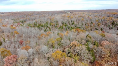 Tract 3 Polston Ln, Hickory Grove Township, MO 63357 - photo 6